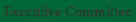 Executive Committee
